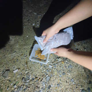 두냥이누나님이 올린 리뷰 사진 4