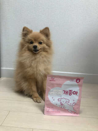 My Pet Care 천연단백질 관절건강에 개좋아 — 4.5점을 준 리뷰어가 2020년 12월 올린 사용 사진