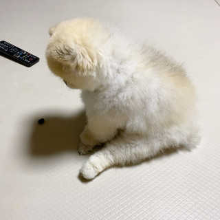 덕구리누나님이 올린 리뷰 사진 4