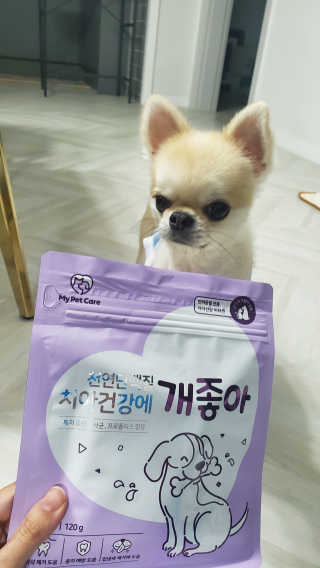 My Pet Care 천연단백질 치아건강에 개좋아 — 5점을 준 리뷰어가 2020년 11월 올린 사용 사진