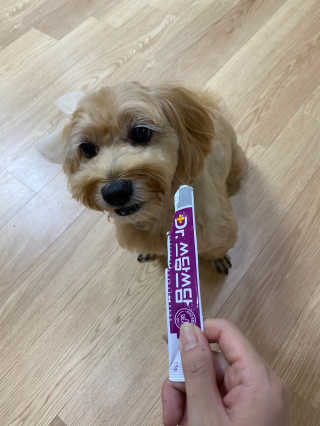 H님이 올린 리뷰 사진 3