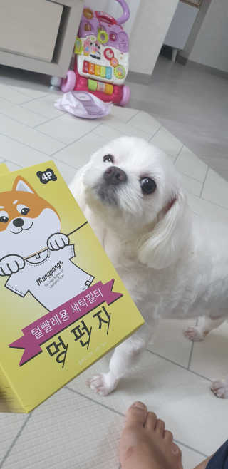 고롸고롸고롸님이 올린 리뷰 사진 1
