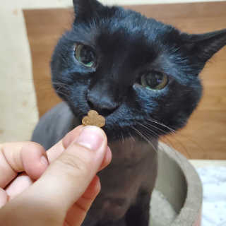 지니님이 올린 리뷰 사진 3