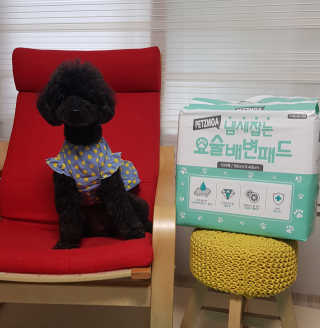 쿠키님이 올린 리뷰 사진 1