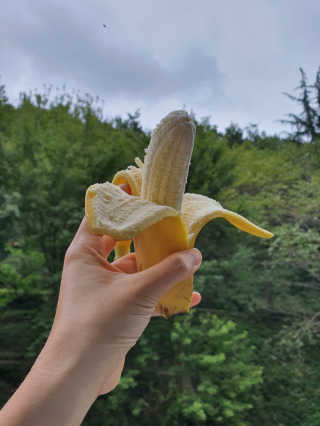 [스미후루] 감숙왕 바나나 2팩 2.6kg 이벤트 — 5점을 준 리뷰어가 2020년 9월 올린 사용 사진