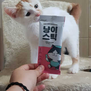 BoramKim님이 올린 리뷰 사진 2