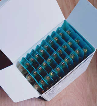 JW중외제약 마이코드 알티지 오메가3 1000 mg — 5점을 준 리뷰어가 2020년 8월 올린 사용 사진