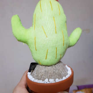 유자씨🍀님이 올린 리뷰 사진 2