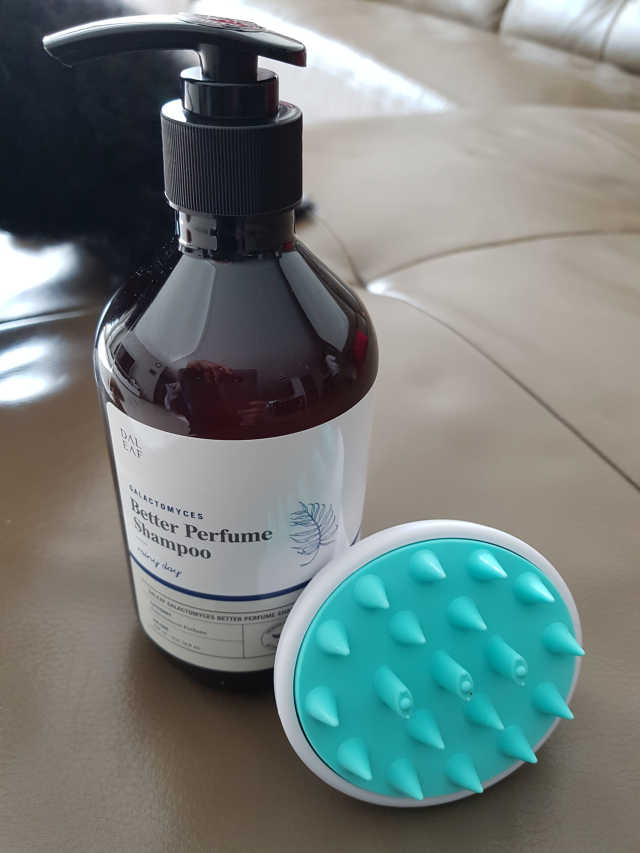 달리프 베러 퍼퓸 샴푸 1000ml 레이니데이 or 일랑로즈 리뷰 사진