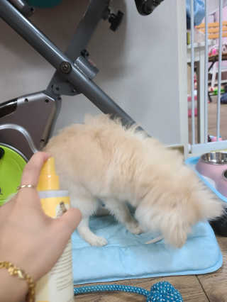 감자님❤님이 올린 리뷰 사진 3