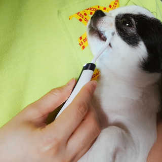 beauty_jisu님이 올린 리뷰 사진 3
