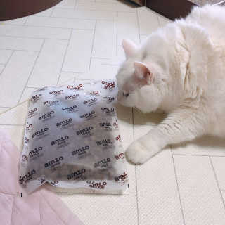 토모님이 올린 리뷰 사진 2