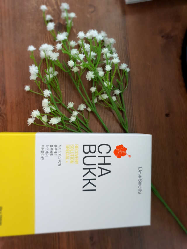 닥터스웰스 차부끼 리뷰 사진