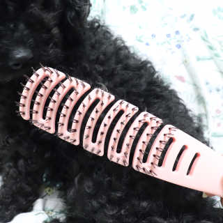우와한언니님이 올린 리뷰 사진 2