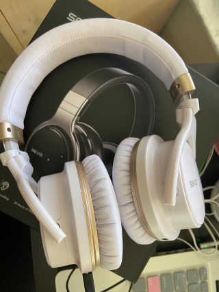 SEVIZ Bluetooth Headphones 10 3color — 5점을 준 리뷰어가 2020년 8월 올린 사용 사진