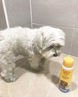 두두님이 올린 리뷰 사진 2