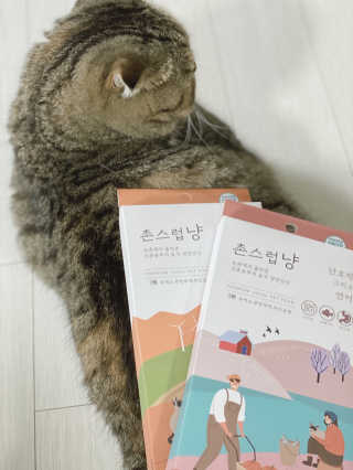 비마님이 올린 리뷰 사진 2
