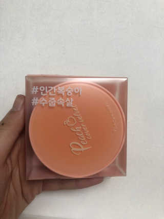 [블랙루즈] 피치 커버 벨벳 쿠션 2종 중 택1 — 5점을 준 리뷰어가 2020년 7월 올린 사용 사진