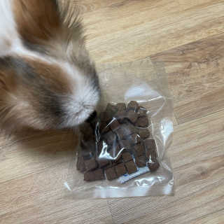 My Pet Care 천연단백질 관절건강에 개좋아 — 5점을 준 리뷰어가 2020년 12월 올린 사용 사진
