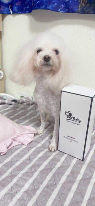 예민한 피부를 위한 코코몰리 All in one 자연유래 샴푸 — 5점을 준 리뷰어가 2020년 11월 올린 사용 사진