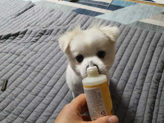 주여니이님이 올린 리뷰 사진 4