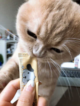 flowerblooming님이 올린 리뷰 사진 1