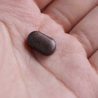 조은약초 꿀잠큐어 제주 감태추출물 감태정 600mg — 4.5점을 준 리뷰어가 2020년 6월 올린 사용 사진