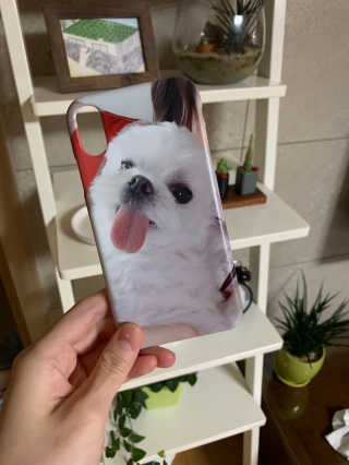 니코니코니님이 올린 리뷰 사진 1