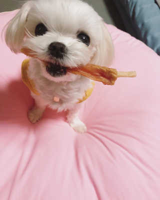 뚜덩맘님이 올린 리뷰 사진 1