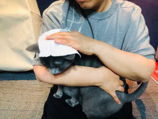 봉봉쥬님이 올린 리뷰 사진 3
