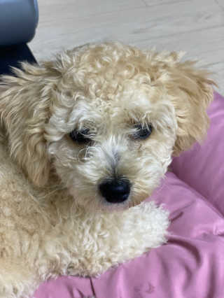 ann님이 올린 리뷰 사진 4