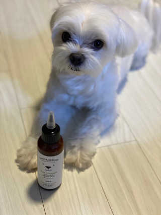 칸쵸님이 올린 리뷰 사진 3
