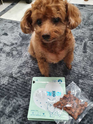 My Pet Care 천연단백질 눈건강에 개좋아 — 5점을 준 리뷰어가 2020년 11월 올린 사용 사진