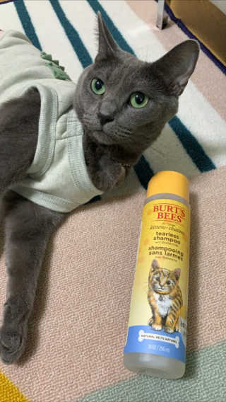 최진아님이 올린 리뷰 사진 1