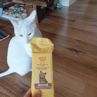 코코야옹님이 올린 리뷰 사진 1