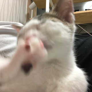김채연님이 올린 리뷰 사진 3