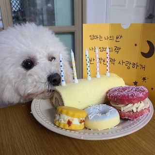 이민아님이 올린 리뷰 사진 1