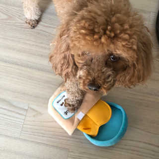 creed님이 올린 리뷰 사진 2
