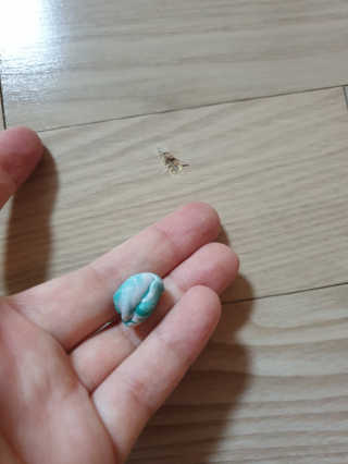 써니님이 올린 리뷰 사진 4