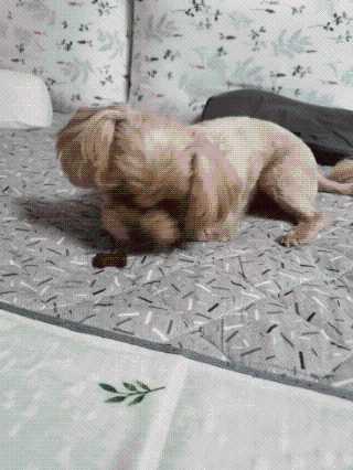 모떼네님이 올린 리뷰 사진 1