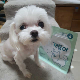 My Pet Care 천연단백질 눈건강에 개좋아 — 5점을 준 리뷰어가 2020년 12월 올린 사용 사진
