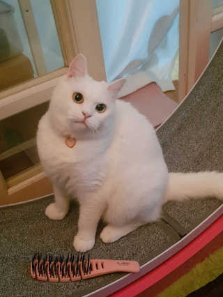 효니님이 올린 리뷰 사진 1