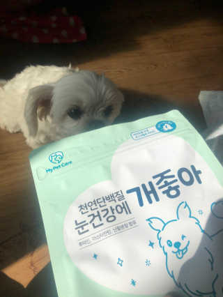My Pet Care 천연단백질 눈건강에 개좋아 — 5점을 준 리뷰어가 2020년 11월 올린 사용 사진
