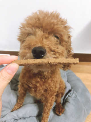 My Pet Care 천연단백질 치아건강에 개좋아 — 5점을 준 리뷰어가 2020년 12월 올린 사용 사진