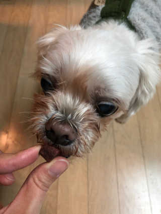 My Pet Care 천연단백질 눈건강에 개좋아 — 5점을 준 리뷰어가 2020년 12월 올린 사용 사진