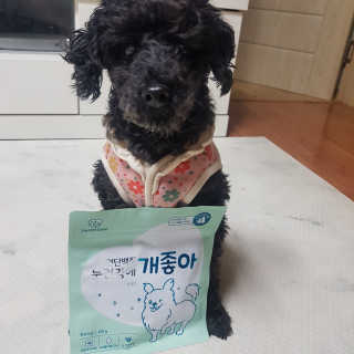 My Pet Care 천연단백질 눈건강에 개좋아 — 5점을 준 리뷰어가 2020년 11월 올린 사용 사진