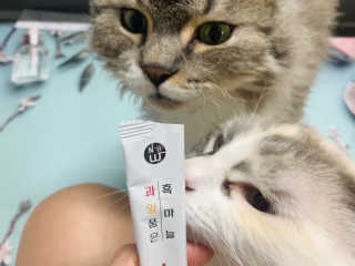 시묘님이 올린 리뷰 사진 4