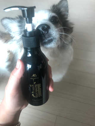 pouryourlove님이 올린 리뷰 사진 1