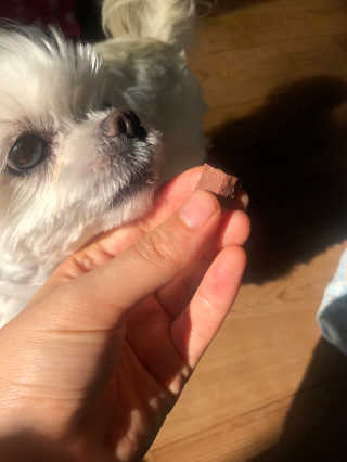 My Pet Care 천연단백질 눈건강에 개좋아 — 5점을 준 리뷰어가 2020년 11월 올린 사용 사진