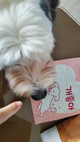 My Pet Care 천연단백질 관절건강에 개좋아 — 5점을 준 리뷰어가 2020년 12월 올린 사용 사진
